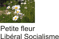 Social and liberalism Movement